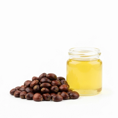 Palm kernel oil in a small glass jar next to a pile of dried palm kernels, illustrating the source and processed product, clean background, no text, no words, no typography, clean image